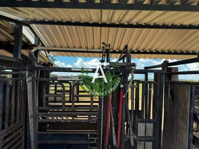 Imagem 14: Fazenda de 54 Alq em Itapirapuã-Go