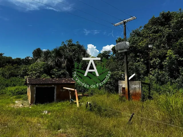 Imagem 10: Fazenda de 54 Alq em Itapirapuã-Go