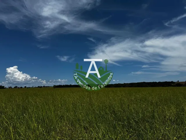 Imagem 13: Fazenda de 54 Alq em Itapirapuã-Go