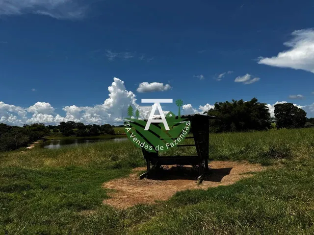 Imagem 15: Fazenda de 54 Alq em Itapirapuã-Go