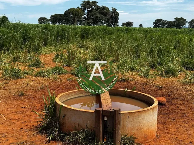 Imagem 4: Fazenda de 54 Alq em Itapirapuã-Go
