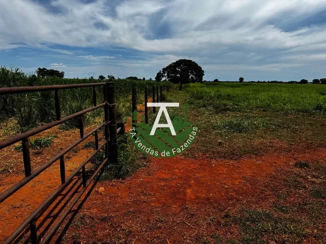 Imagem 12: Fazenda de 54 Alq em Itapirapuã-Go