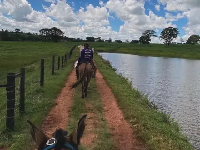 Imagem 1: Fazenda de 103 Alqueires Região de Itauçu-Go