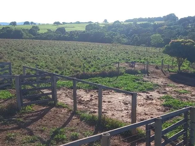 Imagem: Vende Se Chacara em Jaragua Go