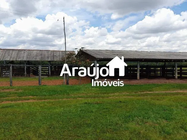 Imagem 4: Fazenda com 1 Dorm, Centro, São João D&Amp;Apos;Aliança - R$ 12.5 Mi, Cod: 2119