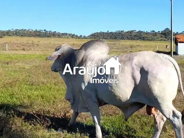 Imagem 2: Fazenda com 1 Dorm, Centro, São João D&Amp;Apos;Aliança - R$ 12.5 Mi, Cod: 2119