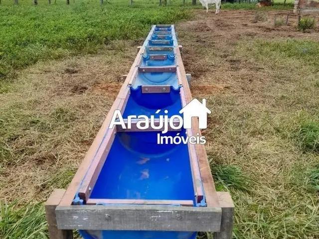 Imagem 7: Fazenda com 1 Dorm, Centro, São João D&Amp;Apos;Aliança - R$ 12.5 Mi, Cod: 2119