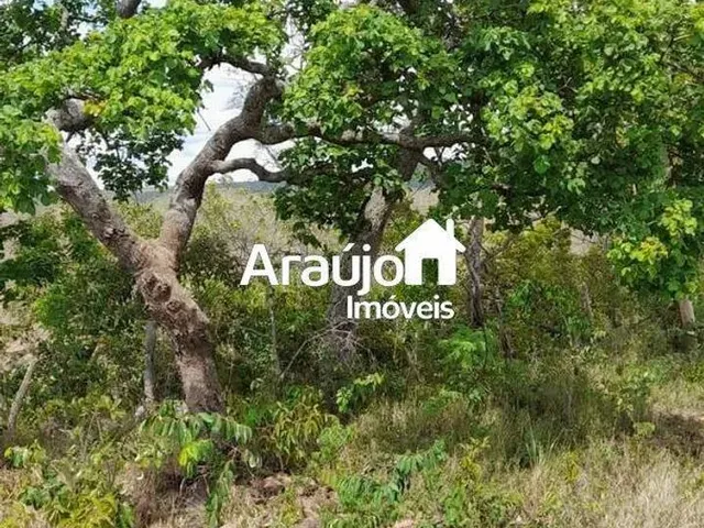 Imagem 5: Fazenda com 1 Dorm, Centro, São João D&Amp;Apos;Aliança - R$ 12.5 Mi, Cod: 2119