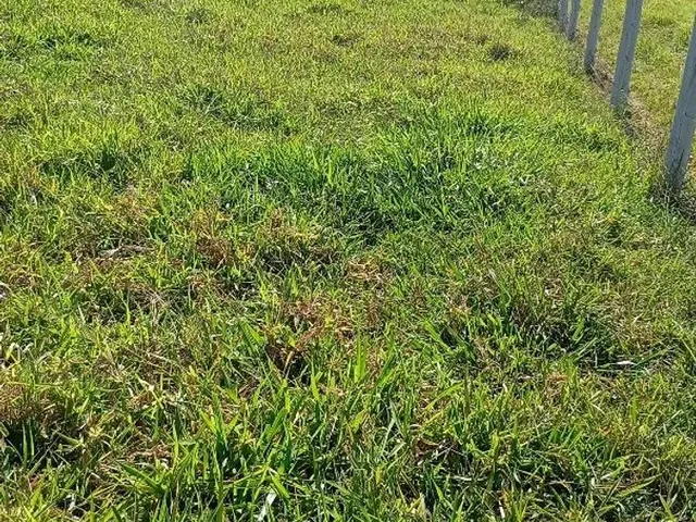 Imagem: Fração de Terra 2H em Alexania G.o