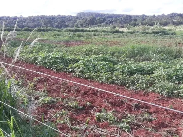 Imagem: Chacara para Venda 3,5 Alqueires em Zona