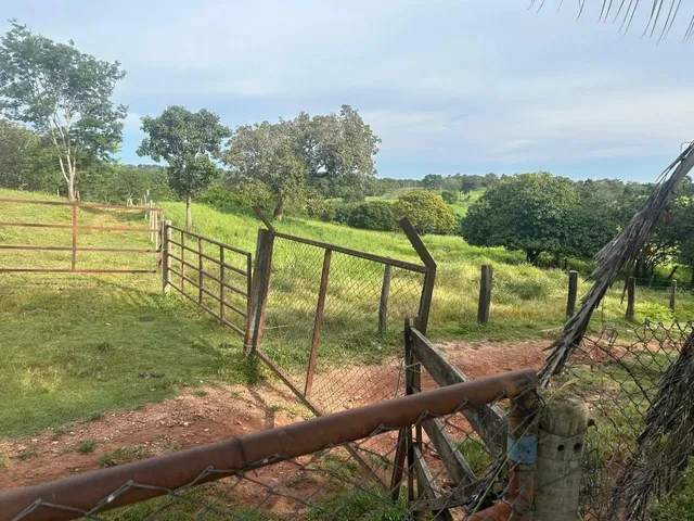 Imagem: Chácara no Município de Mara Rosa 4,2