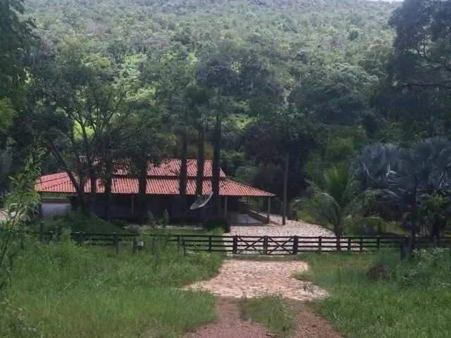 Imagem: Fazendinha 14 Alqueires