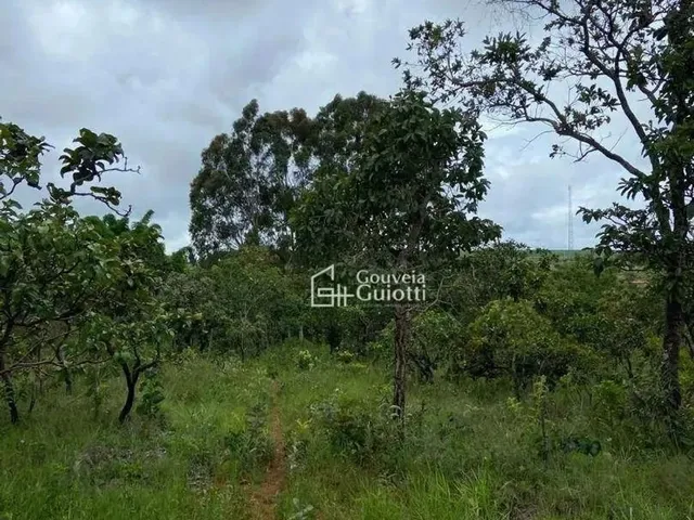 Imagem 4: .