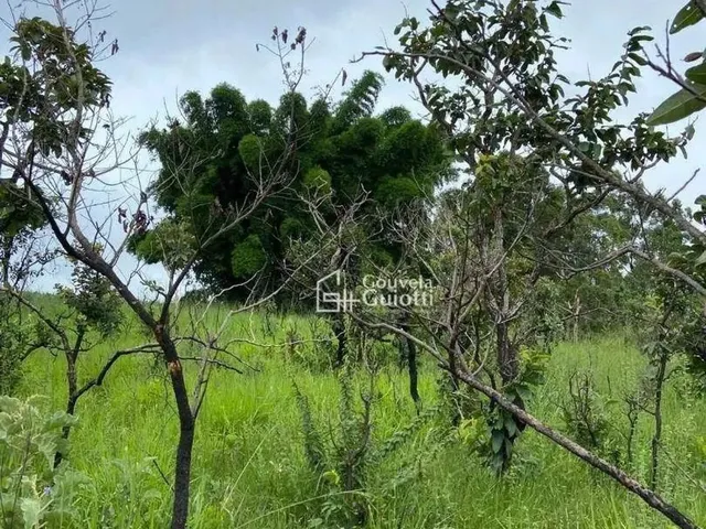 Imagem 3: .