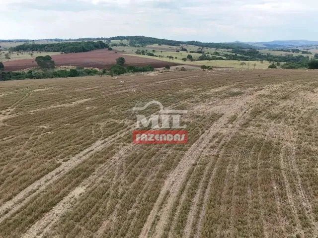 Imagem: Fazenda 20 Alqueires (96,8 Hectares) Itauçu