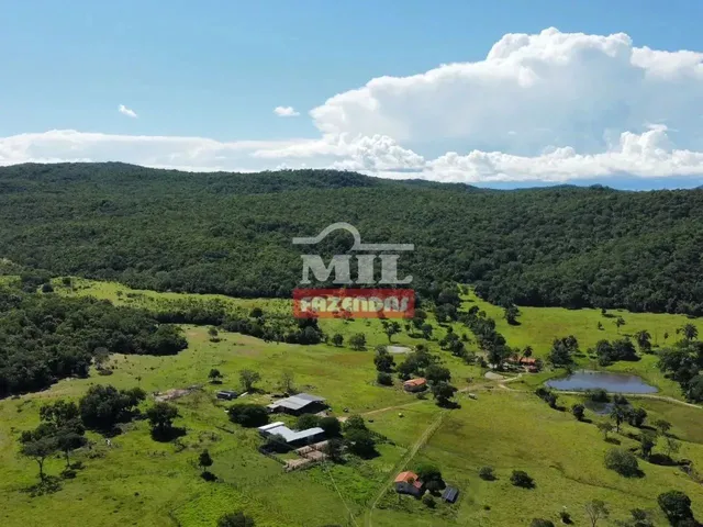 Imagem: Fazenda 323 Alqueires (1.563 Hectares) Colinas