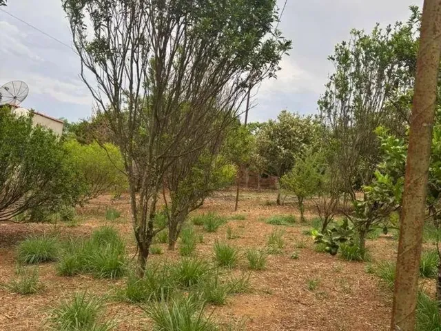 Imagem 4: Chácara com 3 Dormitórios À Venda, 2000 M² por R$ 310.000,00 - Gameleira - Gameleira