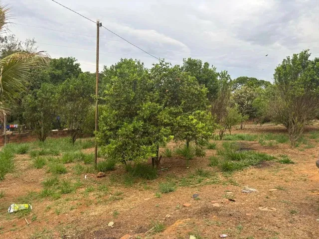 Imagem 7: Chácara com 3 Dormitórios À Venda, 2000 M² por R$ 310.000,00 - Gameleira - Gameleira