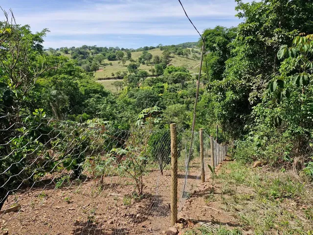 Imagem 1: Vendo Chácara com venda por R$600.000