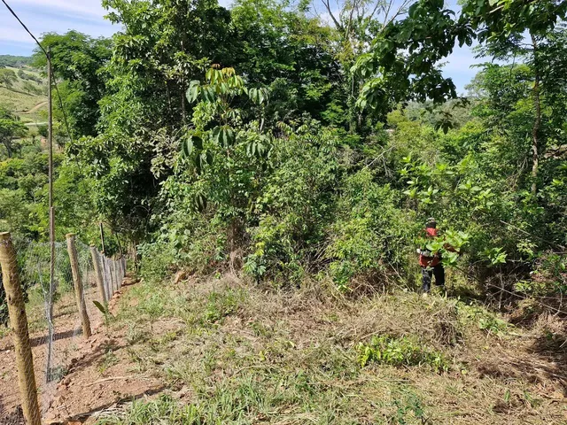 Imagem 2: Vendo Chácara com venda por R$600.000