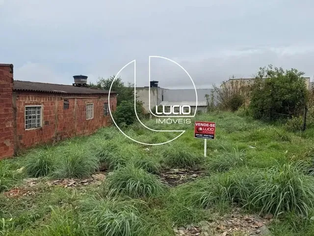 Imagem 1: Lote no Bairro Viviam Parque. Anápolis-Go