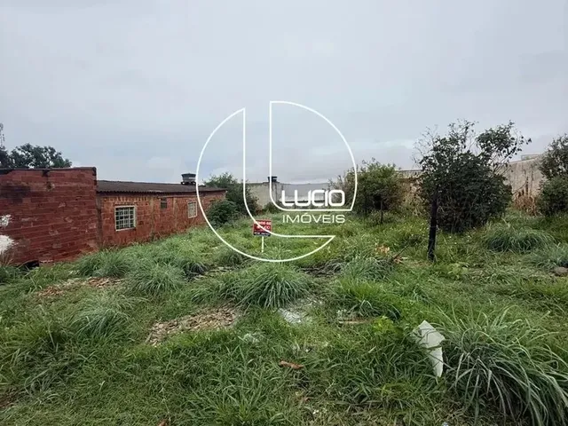 Imagem 3: Lote no Bairro Viviam Parque. Anápolis-Go