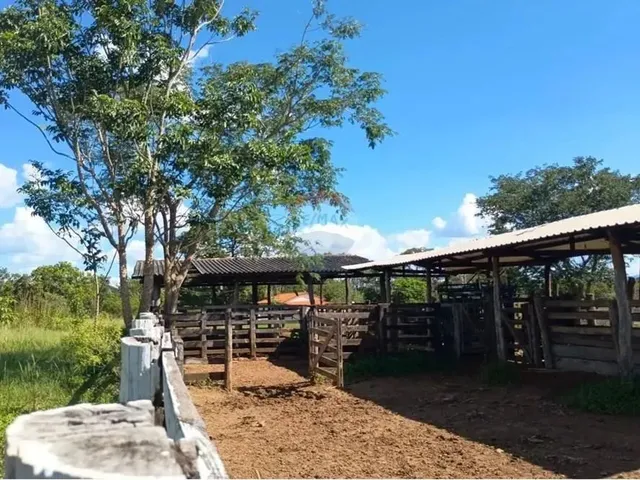 Imagem 12: Área para Plantio de Soja;Grãos.criação de Gado Bovino. 900 Hectares.agricultura E