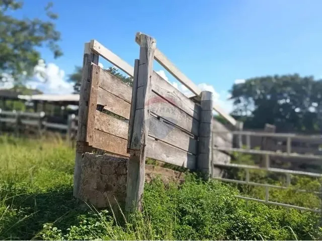 Imagem 8: Área para Plantio de Soja;Grãos.criação de Gado Bovino. 900 Hectares.agricultura E