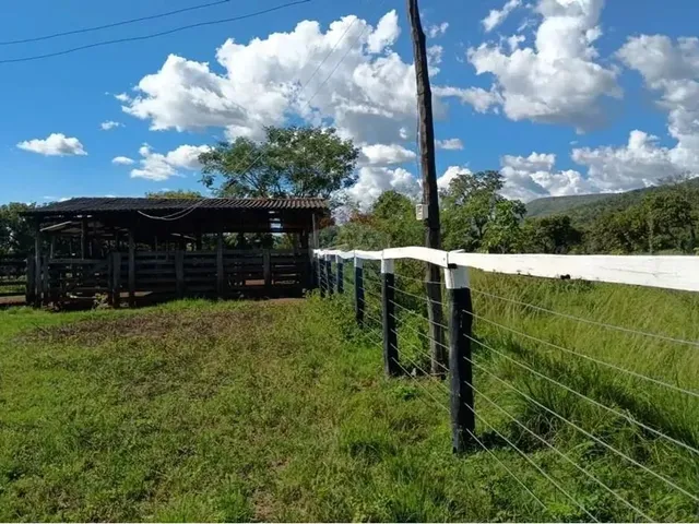 Imagem 2: Área para Plantio de Soja;Grãos.criação de Gado Bovino. 900 Hectares.agricultura E