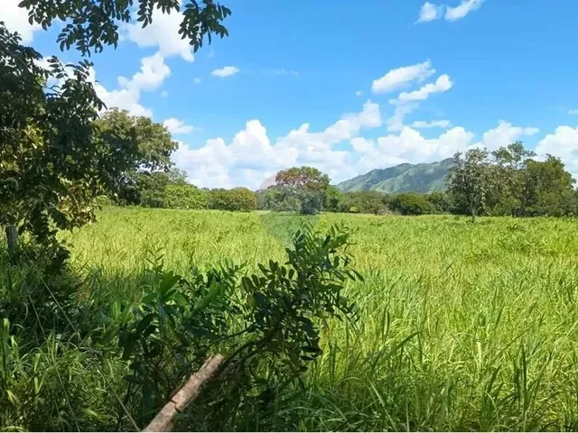 Imagem 10: Área para Plantio de Soja;Grãos.criação de Gado Bovino. 900 Hectares.agricultura E
