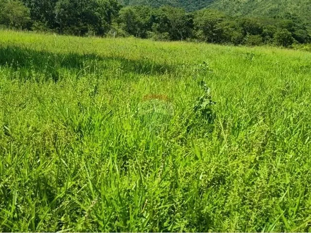 Imagem 15: Área para Plantio de Soja;Grãos.criação de Gado Bovino. 900 Hectares.agricultura E