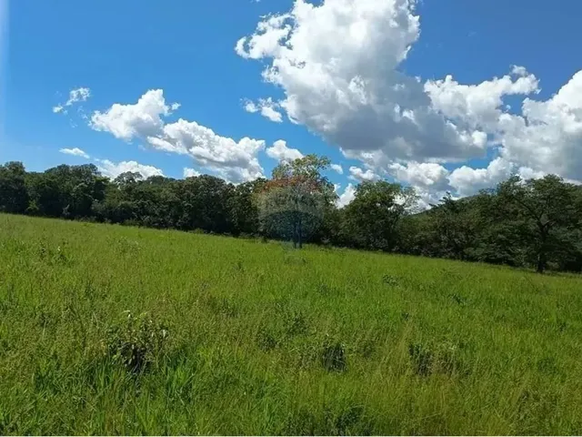 Imagem 16: Área para Plantio de Soja;Grãos.criação de Gado Bovino. 900 Hectares.agricultura E