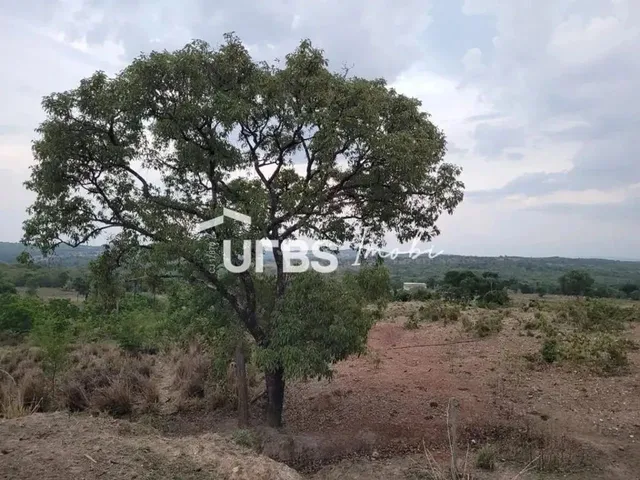 Imagem 4: 0 - Chácara 6 Quartos, Sendo 1 Suíte