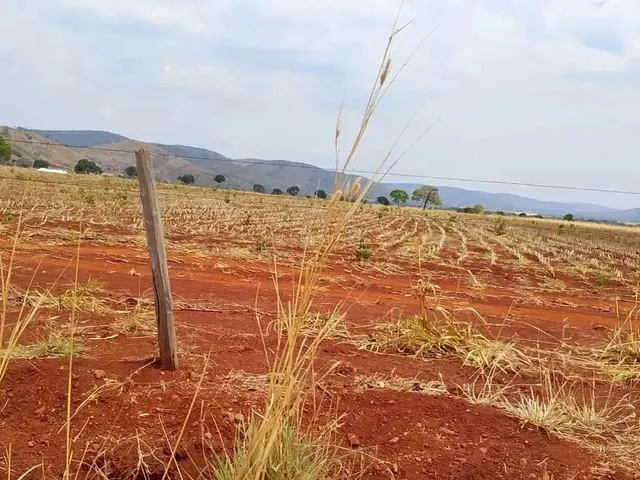 Imagem: Fazenda a Venda, em Barro Alto / Goiàs