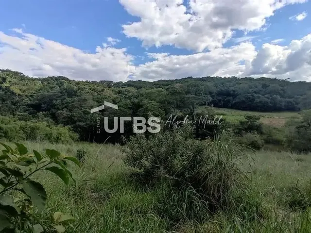 Imagem 11: 0 - Chácara 3 Quartos