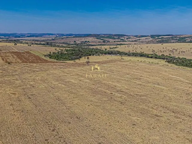 Imagem: Fazenda Produtiva Dupla Aptidão Agricultura