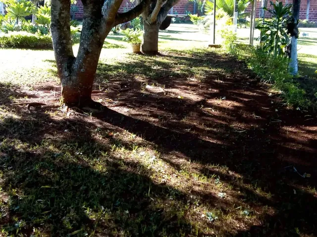 Imagem 10: Imóvel para Venda com 4200 Metros Quadrados com 4 Quartos em Chácaras Americanas