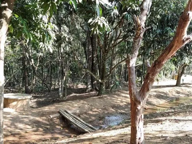 Imagem 14: Linda Chacara com Bica D´agua Proxima a Anápolis!