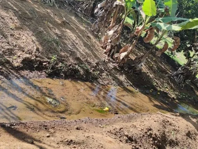 Imagem 9: Linda Chacara com Bica D´agua Proxima a Anápolis!