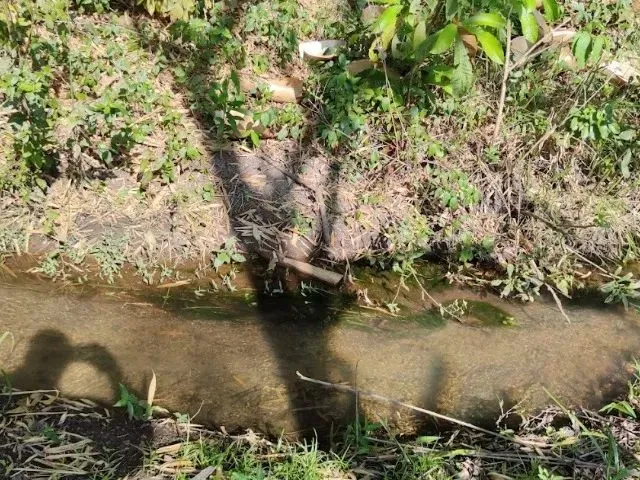 Imagem 10: Linda Chacara com Bica D´agua Proxima a Anápolis!