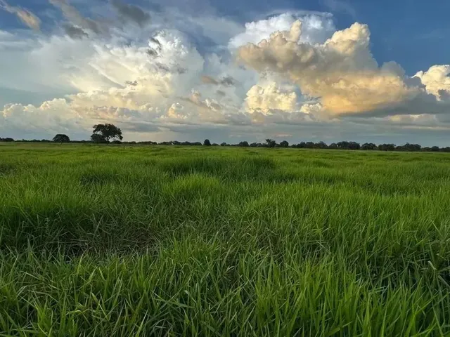 Imagem: A fazenda possui 4 Dormitórios, 4 Suítes, 8 Banheiros,