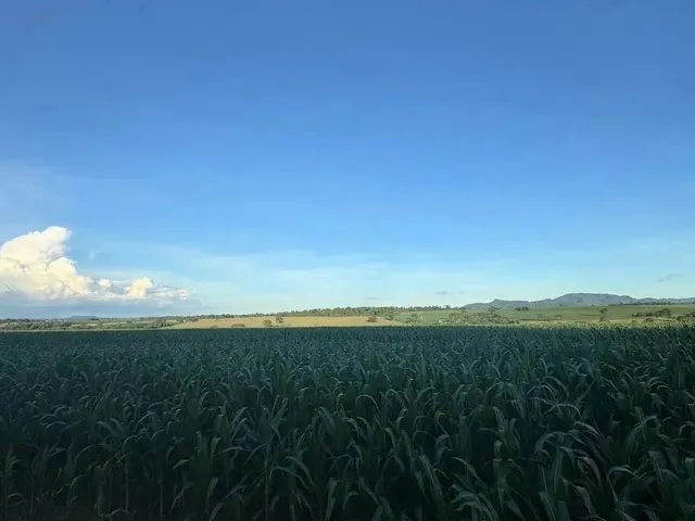 Imagem: Fazenda a Venda - Itaberaí - Go