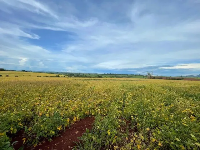 Imagem 9: Fazenda a Venda - Itaberaí - Go