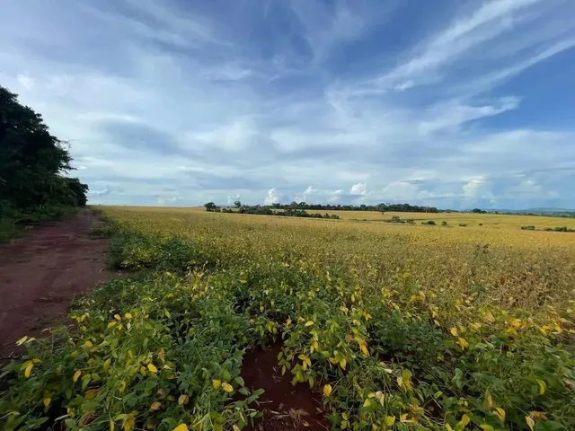 Imagem 5: Fazenda a Venda - Itaberaí - Go