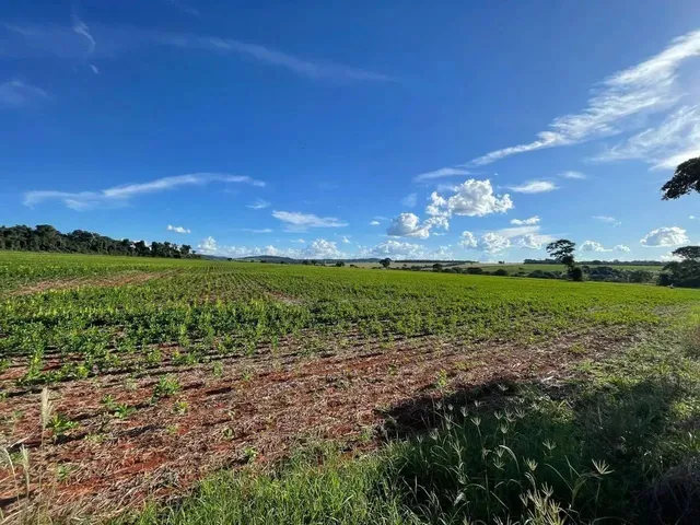 Imagem 3: Fazenda a Venda - Itaberaí - Go