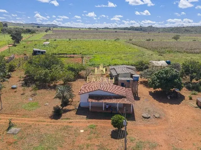 Imagem: Fazenda Produtiva Dupla Aptidão 100 Plana