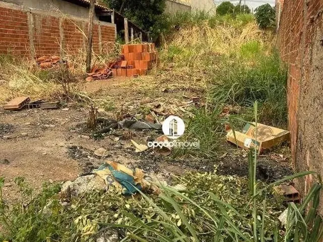 Imagem 3: .