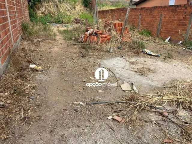 Imagem 5: .