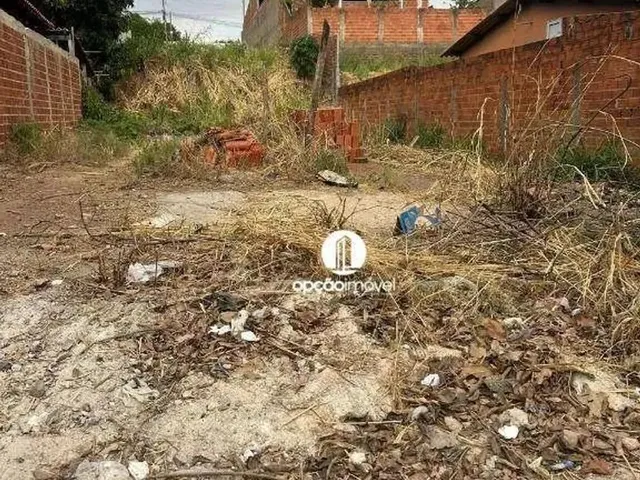 Imagem 2: .