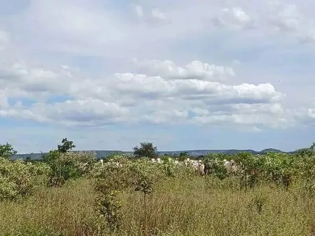 Imagem: Excelente Fazenda Dupla Aptidão com 4.583